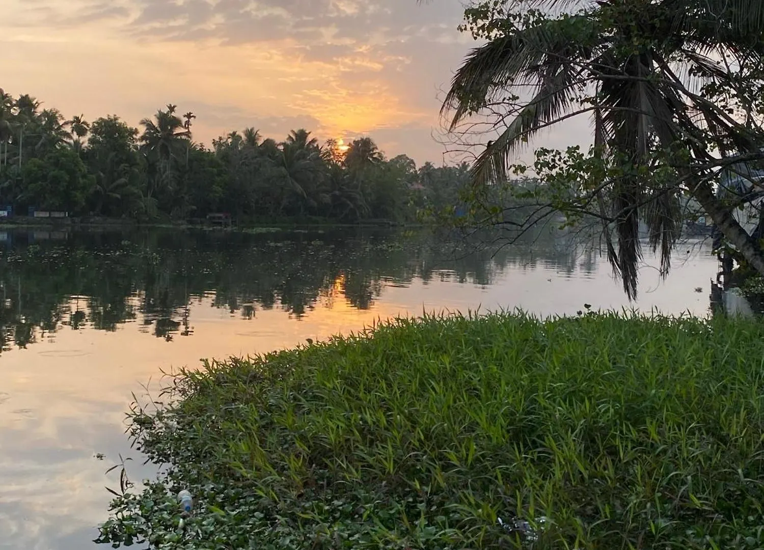 Sunsets And Palm Trees Bed & Breakfast Alappuzha