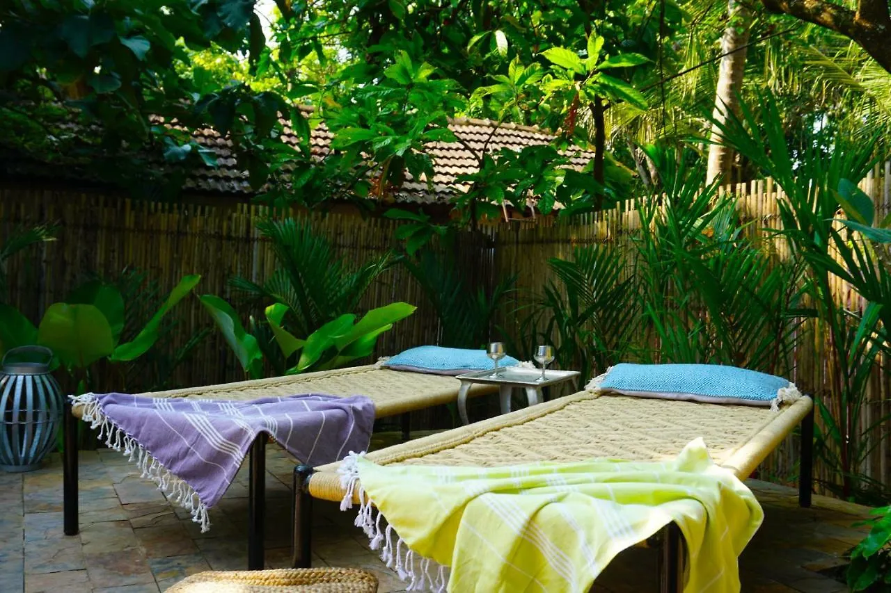 Sunsets And Palm Trees Bed & Breakfast Alappuzha 0*,  India